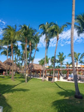 Playa del Carmen, Quintana Roo, Meksika - 20 Kasım 2024: Sonbahar sezonunda Barcelo Maya Oteli bölgesinde