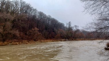 Toronto, ON, Kanada 28 Aralık 2023: Humber Nehri yağmurlu bir günde gri bir gökyüzü altında çıplak bir kış ormanı boyunca hızla akar...