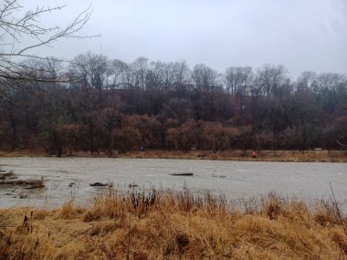 Toronto, ON, Kanada 28 Aralık 2023: Humber Nehri yağmurlu bir günde gri bir gökyüzü altında çıplak bir kış ormanı boyunca hızla akar...