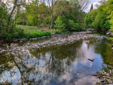 Toronto, ON, Kanada 15 Mayıs 2024: Ağaçlar, yumuşak akşam ışığı altında High Park 'taki sakin bir kayalık dereye yansıyor..
