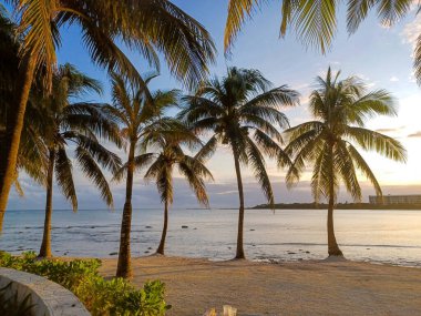 Playa del Carmen, Quintana Roo, Meksika - 20 Kasım 2024: Sonbahar sezonunda Barcelo Maya Oteli bölgesinde