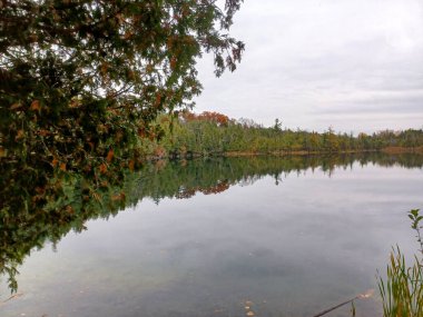 Toronto, ON, Kanada 25 Ekim 2024 Crawford Gölü 'nün sakin, ayna benzeri yüzeyi koruma alanındaki sessiz patika boyunca düşen ağaçları yansıtıyor...
