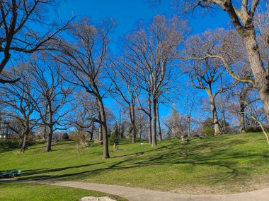 Toronto, ON, Kanada 2 Mayıs 2024: Ziyaretçiler High Parks 'ta yürürken ve dinlenirken yapraksız ağaçlar açık gökyüzünün altında dik duruyor..