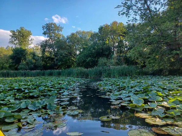 Toronto, ON, Kanada 14 Haziran 2024: Mavi gökyüzünün altındaki Humber Nehri manzarası..