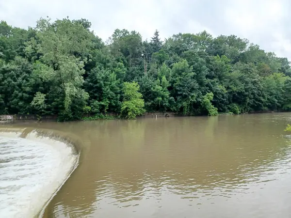 Su Humber Nehri 'nde, sık yeşil ormanlarla çevrili kavisli bir somon merdiveni üzerinden akar..
