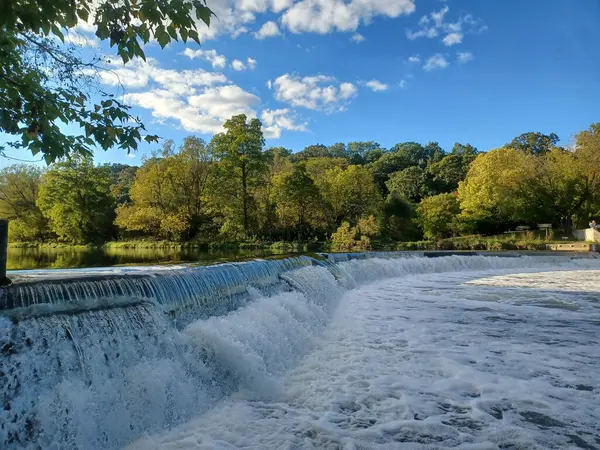 Akşam güneşi Humber Nehri somon merdivenini aydınlatıyor. İnsanlar nehir boyunca toplanıp akan suyu seyrediyorlar..
