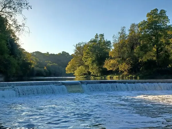Akşam güneşi Humber Nehri somon merdivenini aydınlatıyor. İnsanlar nehir boyunca toplanıp akan suyu seyrediyorlar..