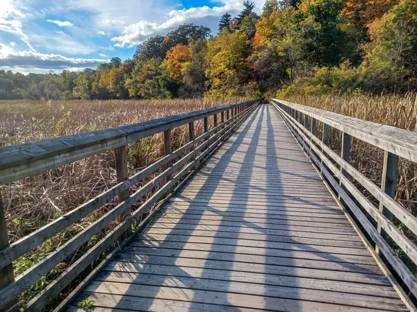 Burlington, ON, Kanada 14 Ekim 2024: Tahta tahta kaldırım, parçalı bulutlu bir gökyüzünün altında sonbahar renklerinin erken olduğu bir ormana doğru uzanıyor...