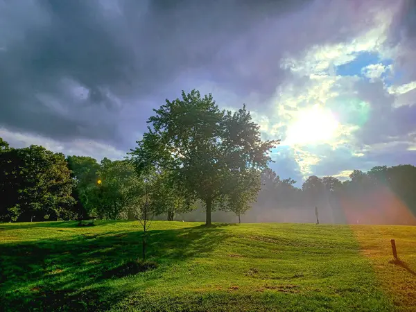Hamilton, ON, Kanada 17 Ağustos 2024: Güneş fırtına bulutlarını delip geçiyor, sakin bir çayıra ve yağmur sonrası ağaçlara altın ışık saçıyor. 