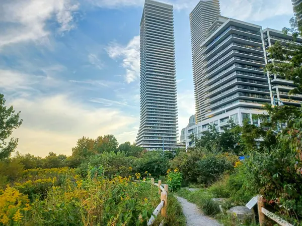 Toronto, Kanada 18 Eylül 2024: Lakeshore yakınlarındaki Etobikola 'da yüksek konut kulelerinin altındaki yeşil ve kır çiçeklerinin arasından huzurlu bir çakıl yolu esiyor. 