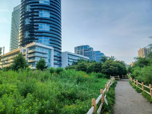 Toronto, Kanada 18 Eylül 2024: Lakeshore yakınlarındaki Etobikola 'da yüksek konut kulelerinin altındaki yeşil ve kır çiçeklerinin arasından huzurlu bir çakıl yolu esiyor. 