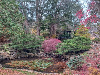 Toronto, Kanada 'da canlı sonbahar ağaçlarıyla çevrili yeşil bir çimenliğin kenarını kıvrımlı bir patika takip ediyor..
