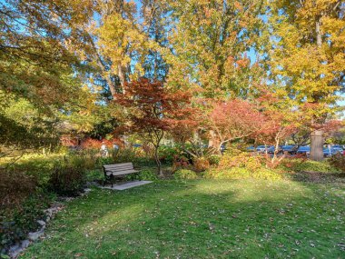 Toronto, Kanada 'da canlı sonbahar ağaçlarıyla çevrili yeşil bir çimenliğin kenarını kıvrımlı bir patika takip ediyor..