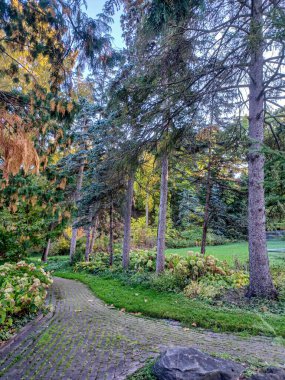 Toronto, Kanada 'da uzun ağaçlarla çevrili renkli bir çiçek bahçesinde güneşli bir yol esiyor..