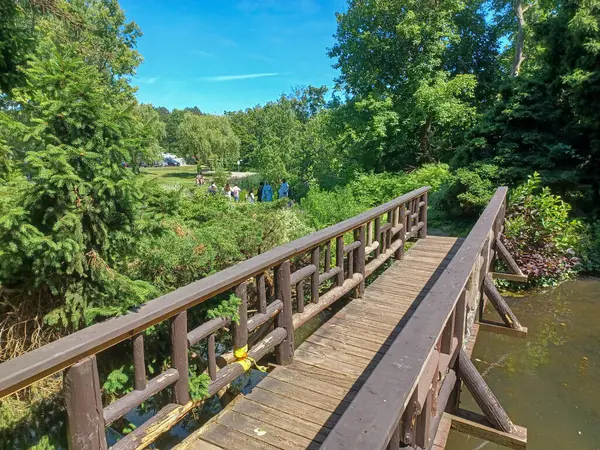 Ziyaretçiler yaz güneşinin altında yemyeşil bir bahçede yürürken, sakin bir göletin üzerinden tahta bir yaya köprüsü geçiyor..