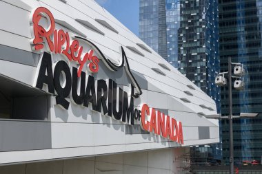 Toronto, ON, Kanada 1 Ağustos 2024 BMO Saha Spor Arenasının logosu ve markası..