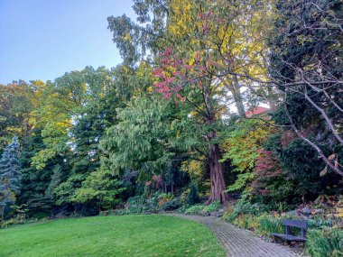 Toronto, Kanada 'da uzun ağaçlarla çevrili renkli bir çiçek bahçesinde güneşli bir yol esiyor..
