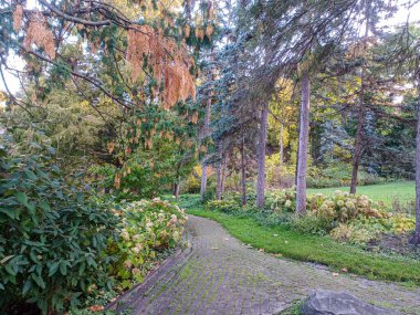 Toronto, Kanada 'da uzun ağaçlarla çevrili renkli bir çiçek bahçesinde güneşli bir yol esiyor..