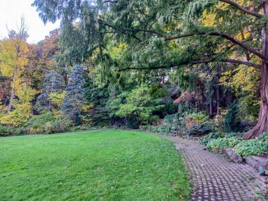 Toronto, Kanada 'da uzun ağaçlarla çevrili renkli bir çiçek bahçesinde güneşli bir yol esiyor..