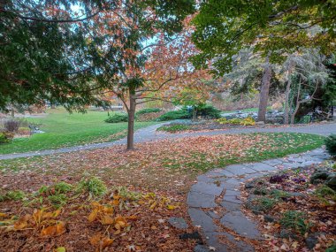 Toronto, Kanada 'da uzun ağaçlarla çevrili renkli bir çiçek bahçesinde güneşli bir yol esiyor..