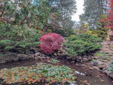 Toronto, Kanada 'da canlı sonbahar ağaçlarıyla çevrili yeşil bir çimenliğin kenarını kıvrımlı bir patika takip ediyor..