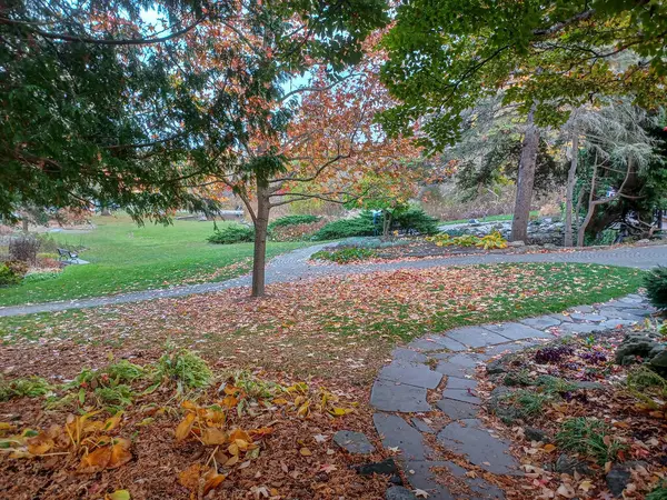 Toronto, Kanada 'da uzun ağaçlarla çevrili renkli bir çiçek bahçesinde güneşli bir yol esiyor..