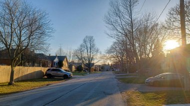 Toronto, ON, Kanada - 9 Nisan 2025: Park halindeki arabaların ve olgun ağaçların tomurcuklanmaya başladığı sakin bir yerleşim yeri..