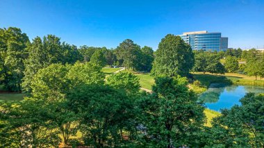 Charlotte, NC, ABD - 28 Nisan 2025: Berrak bir gökyüzü altında modern ofis ve yerleşim binalarıyla çevrili yemyeşil ağaçlar ve küçük bir gölet.