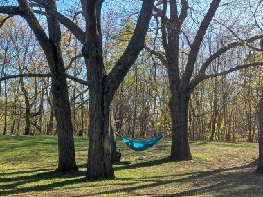 Toronto, ON, Kanada 2 Mayıs 2024: Yüksek Park 'ın sessiz bir köşesinde bir bisiklet dinlenirken, uzun yapraksız ağaçların arasında huzur içinde asılı duran mavi bir hamak...
