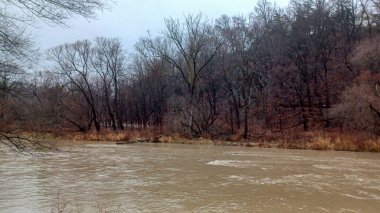 Humber River flows swiftly through a bare winter forest under a grey sky during a rainy day.