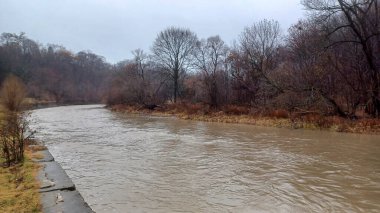Humber River flows swiftly through a bare winter forest under a grey sky during a rainy day.