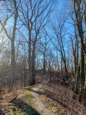  Dar bir toprak yol, temiz bahar gökyüzünün altındaki yapraksız bir ormanda yokuş yukarı esiyor..