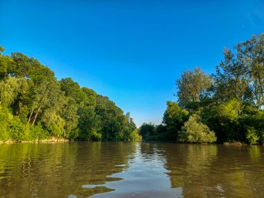 Ağaçlar, yumuşak akşam ışığı altında High Park 'taki sakin bir kayalık dereye yansıyor..
