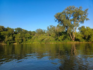 Ağaçlar, yumuşak akşam ışığı altında High Park 'taki sakin bir kayalık dereye yansıyor..