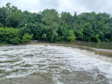 Su Humber Nehri 'nde, sık yeşil ormanlarla çevrili kavisli bir somon merdiveni üzerinden akar..