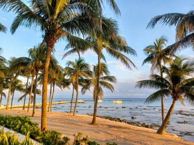 Playa del Carmen, Quintana Roo, Meksika - 20 Kasım 2024: Sonbahar sezonunda Barcelo Maya Oteli bölgesinde