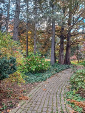 Toronto, Kanada 'da uzun ağaçlarla çevrili renkli bir çiçek bahçesinde güneşli bir yol esiyor..