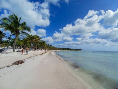 Quintana Roo, Meksika - 20 Kasım 2024 Playa del Car bölgesinde Playa del Carmen, Meksika
