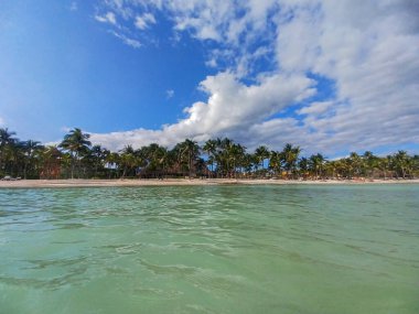 Quintana Roo, Meksika - 20 Kasım 2024 Playa del Car bölgesinde Playa del Carmen, Meksika