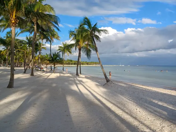 Quintana Roo, Meksika - 20 Kasım 2024 Playa del Car bölgesinde Playa del Carmen, Meksika