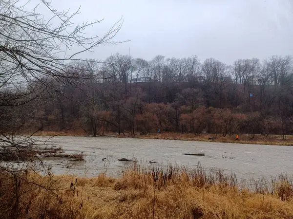 Humber River flows swiftly through a bare winter forest under a grey sky during a rainy day.