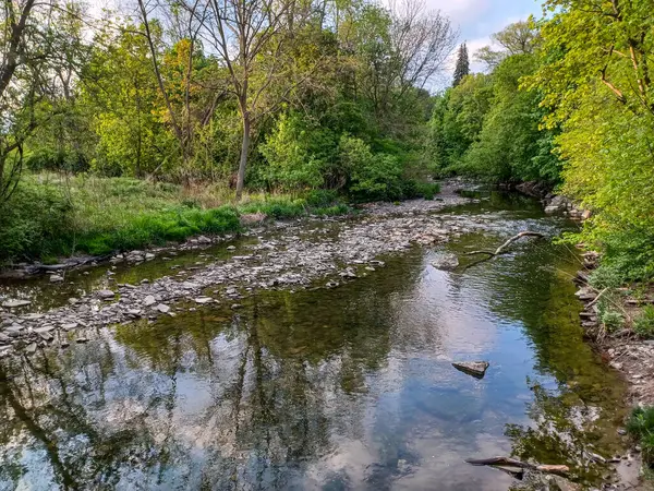 Ağaçlar, yumuşak akşam ışığı altında High Park 'taki sakin bir kayalık dereye yansıyor..