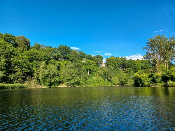 Ağaçlar, yumuşak akşam ışığı altında High Park 'taki sakin bir kayalık dereye yansıyor..