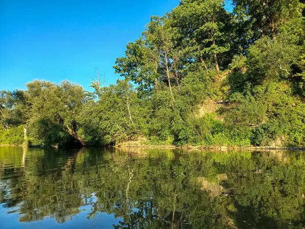 Ağaçlar, yumuşak akşam ışığı altında High Park 'taki sakin bir kayalık dereye yansıyor..