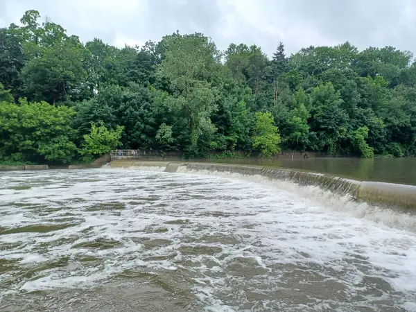 Su Humber Nehri 'nde, sık yeşil ormanlarla çevrili kavisli bir somon merdiveni üzerinden akar..