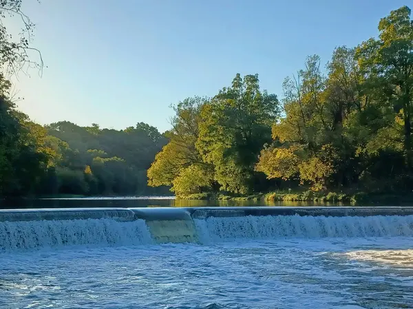 Akşam güneşi Humber Nehri somon merdivenini aydınlatıyor. İnsanlar nehir boyunca toplanıp akan suyu seyrediyorlar..