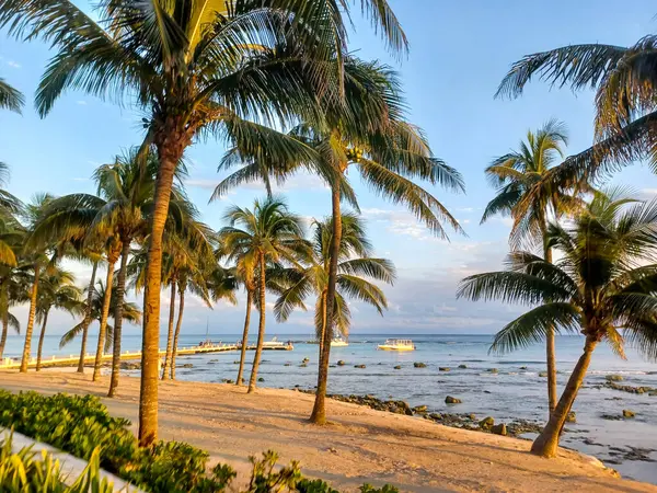 Playa del Carmen, Quintana Roo, Meksika - 20 Kasım 2024: Sonbahar sezonunda Barcelo Maya Oteli bölgesinde