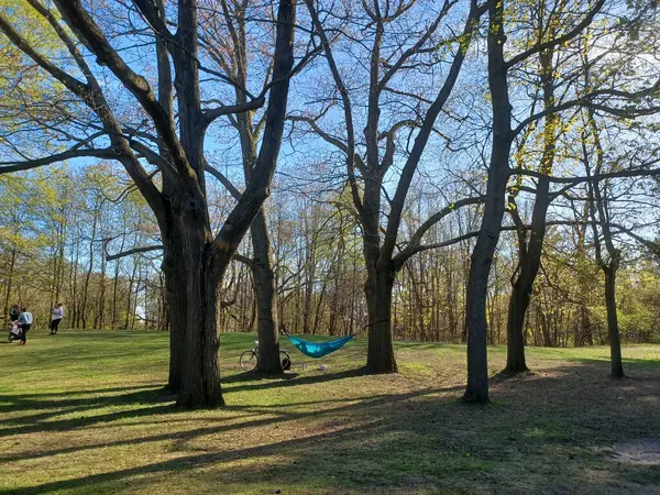 Toronto, ON, Kanada 2 Mayıs 2024: Yüksek Park 'ın sessiz bir köşesinde bir bisiklet dinlenirken, uzun yapraksız ağaçların arasında huzur içinde asılı duran mavi bir hamak...