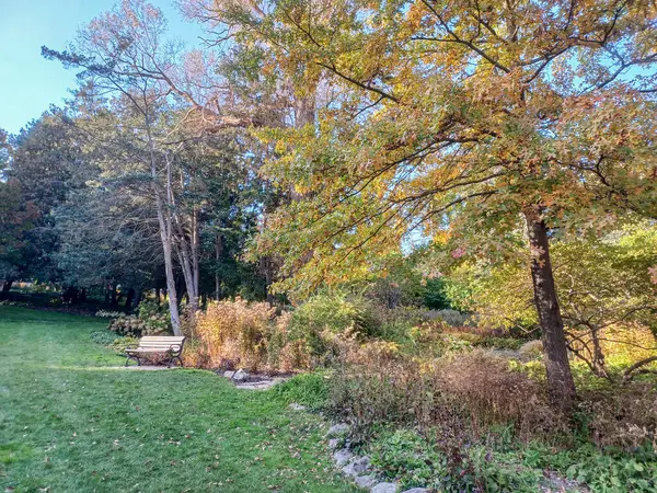 Toronto, Kanada 'da canlı sonbahar ağaçlarıyla çevrili yeşil bir çimenliğin kenarını kıvrımlı bir patika takip ediyor..