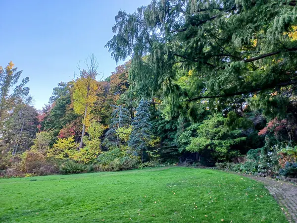 Toronto, Kanada 'da canlı sonbahar ağaçlarıyla çevrili yeşil bir çimenliğin kenarını kıvrımlı bir patika takip ediyor..